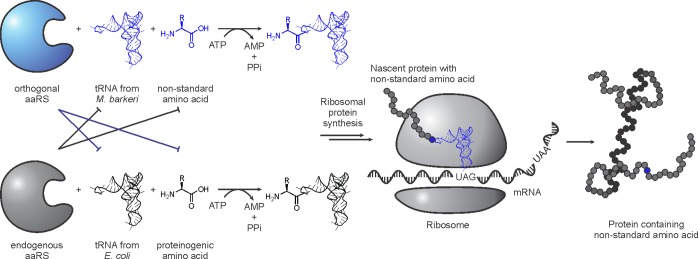 Figure 32