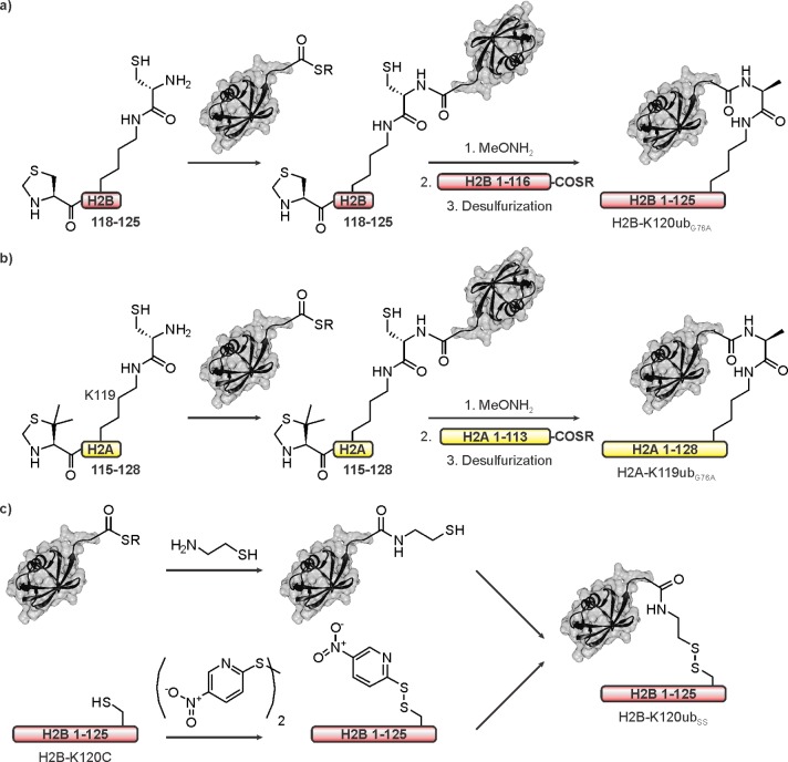 Figure 50