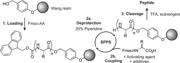 Scheme 2