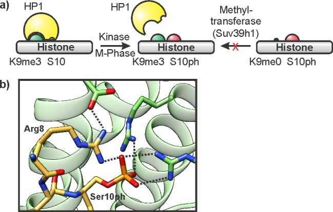 Figure 14