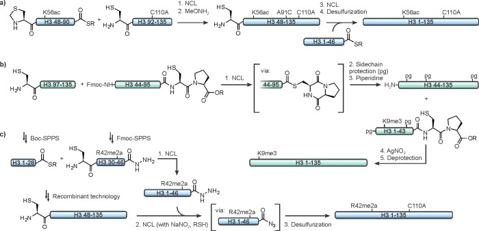 Figure 48