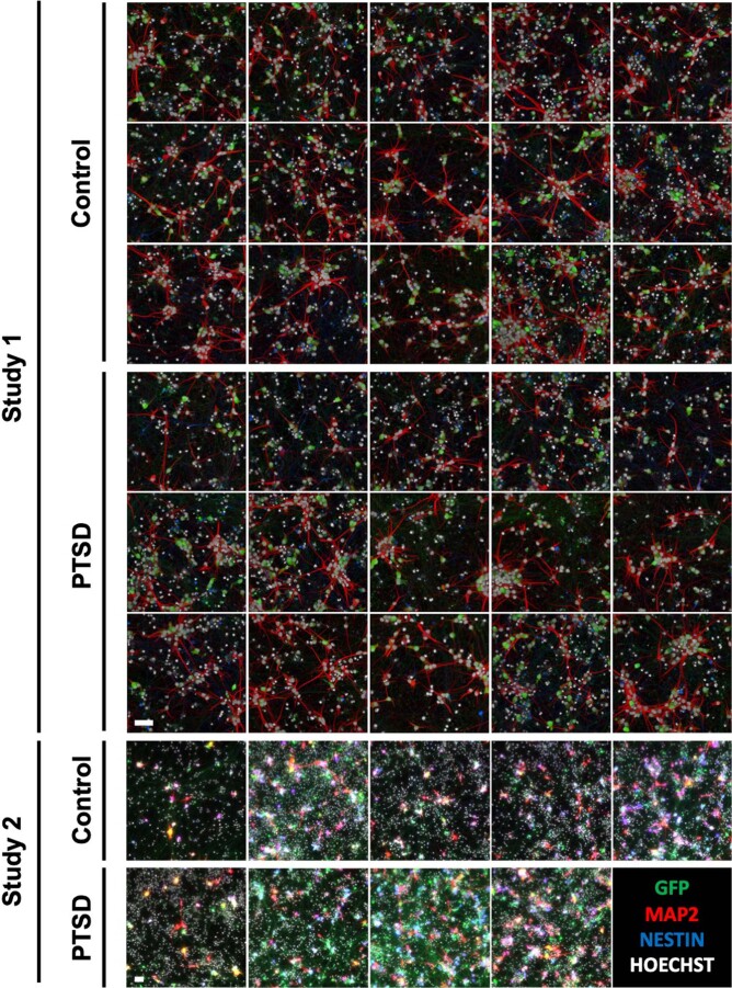 Extended Data Fig. 1