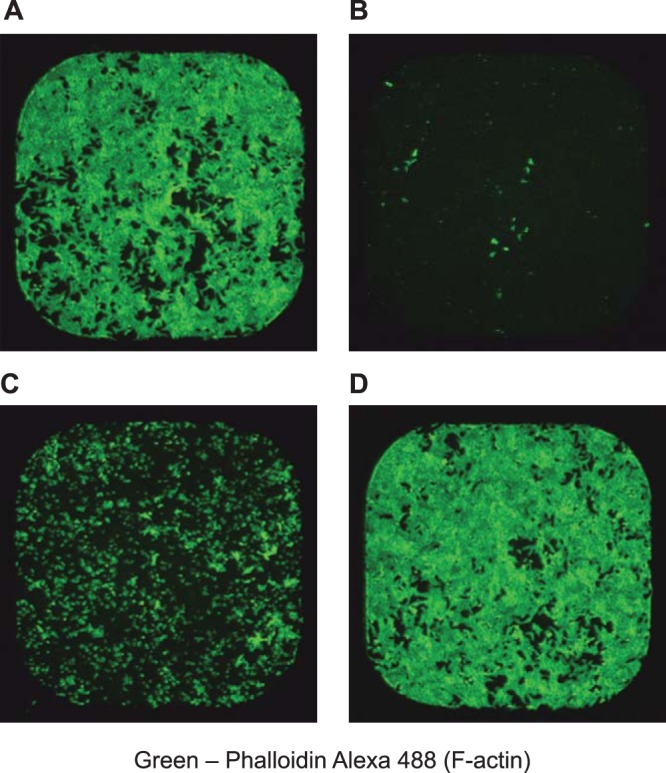 FIG 2