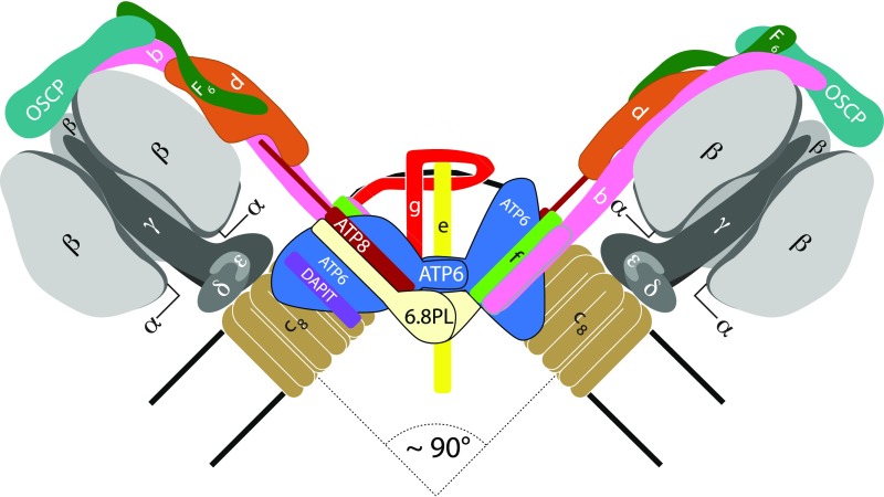 Fig. 1.