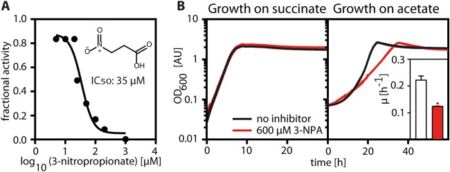 FIG 3