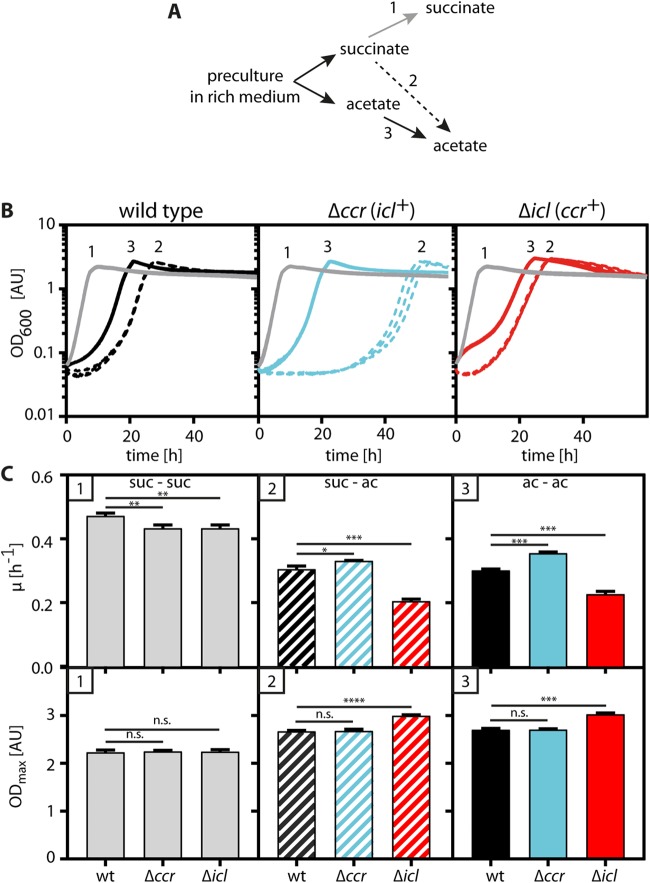 FIG 4