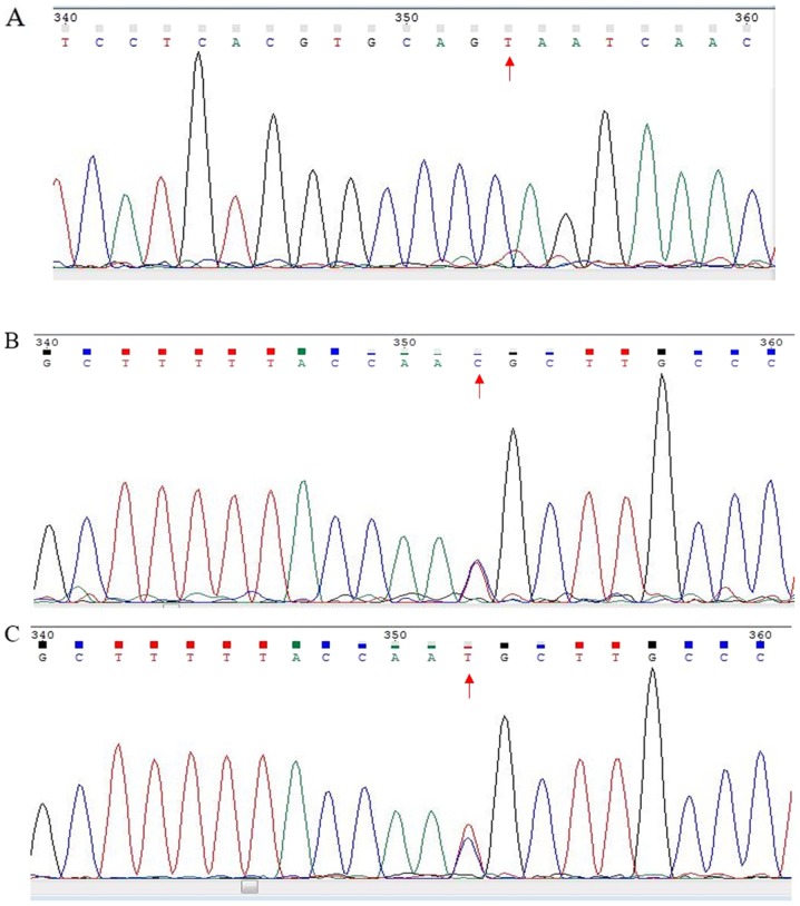 Figure 1.