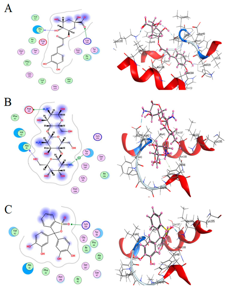 Figure 11