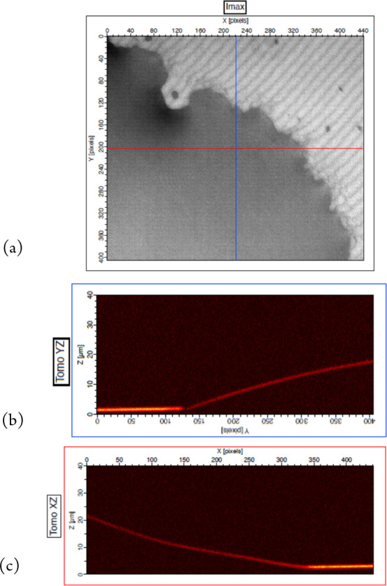 Figure 12