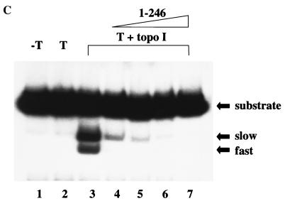 FIG. 7