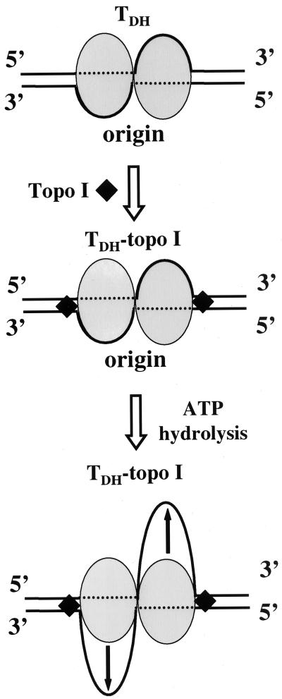 FIG. 8
