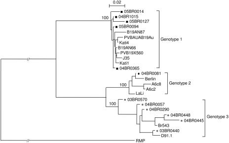 FIG. 1.