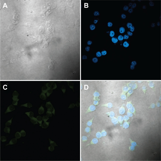 Figure 12