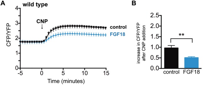 Figure 4—figure supplement 1.