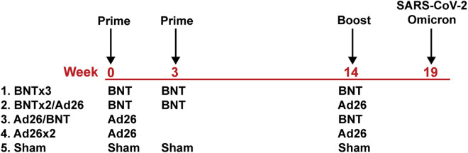 Figure 1