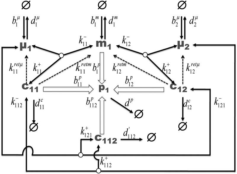 FIGURE 2.