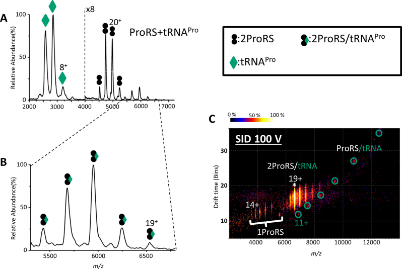 Figure 3.