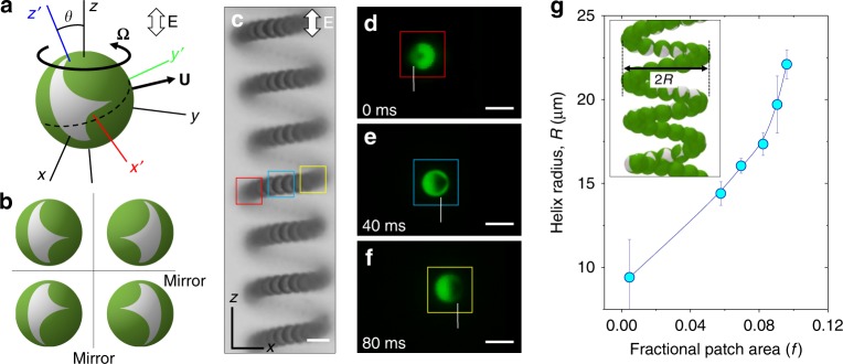 Fig. 4