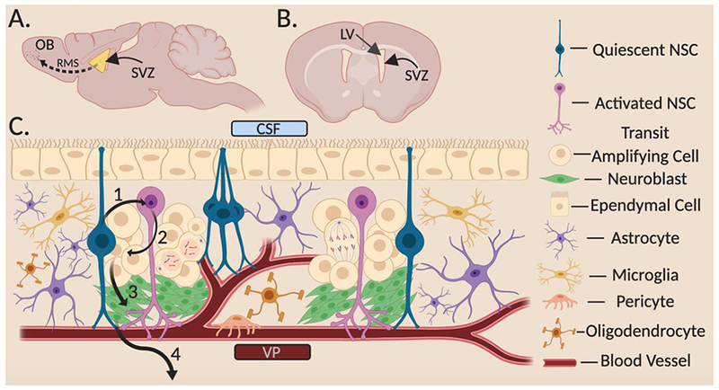 Figure 1)