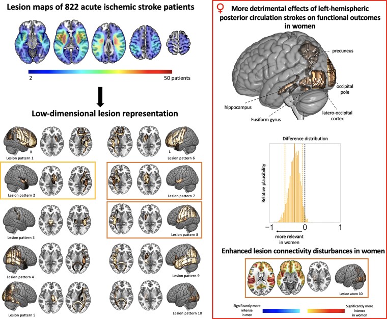 Graphical Abstract