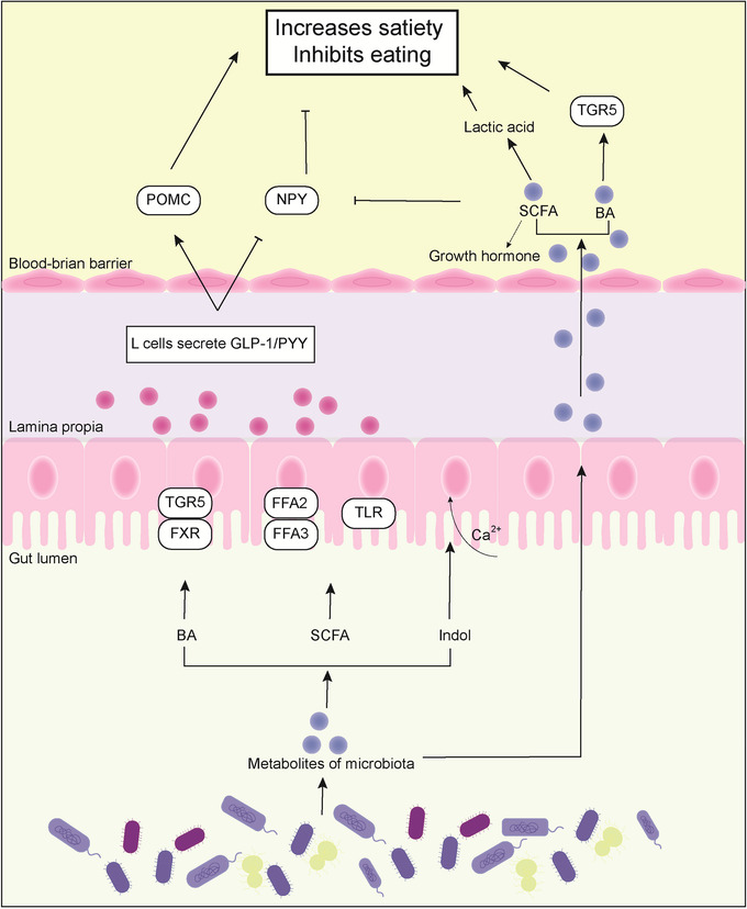 FIGURE 3