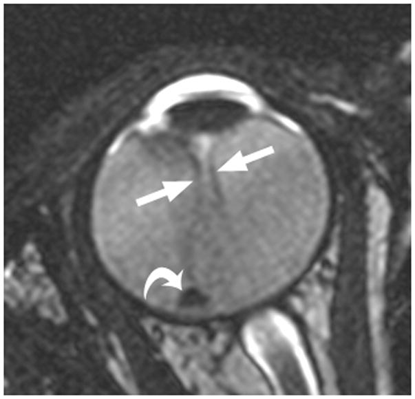 Fig. 9