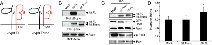 FIGURE 5: