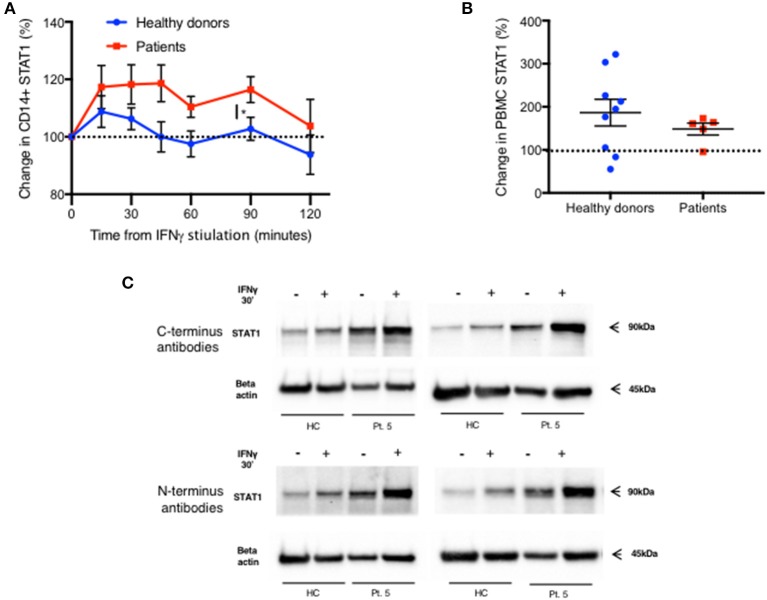 Figure 7