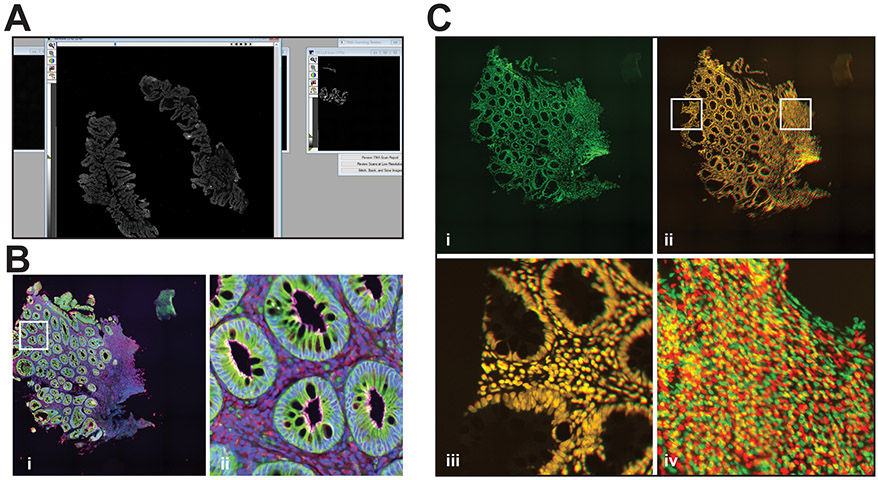 Figure 10.