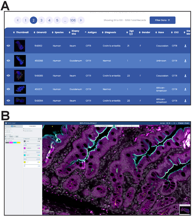 Figure 11.