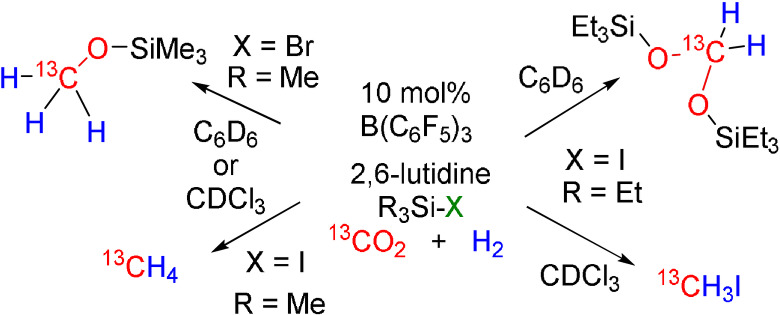 Scheme 3