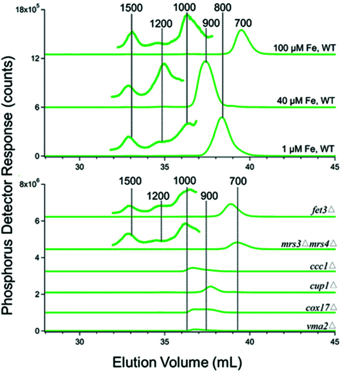 Fig. 6