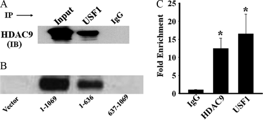 FIGURE 7.