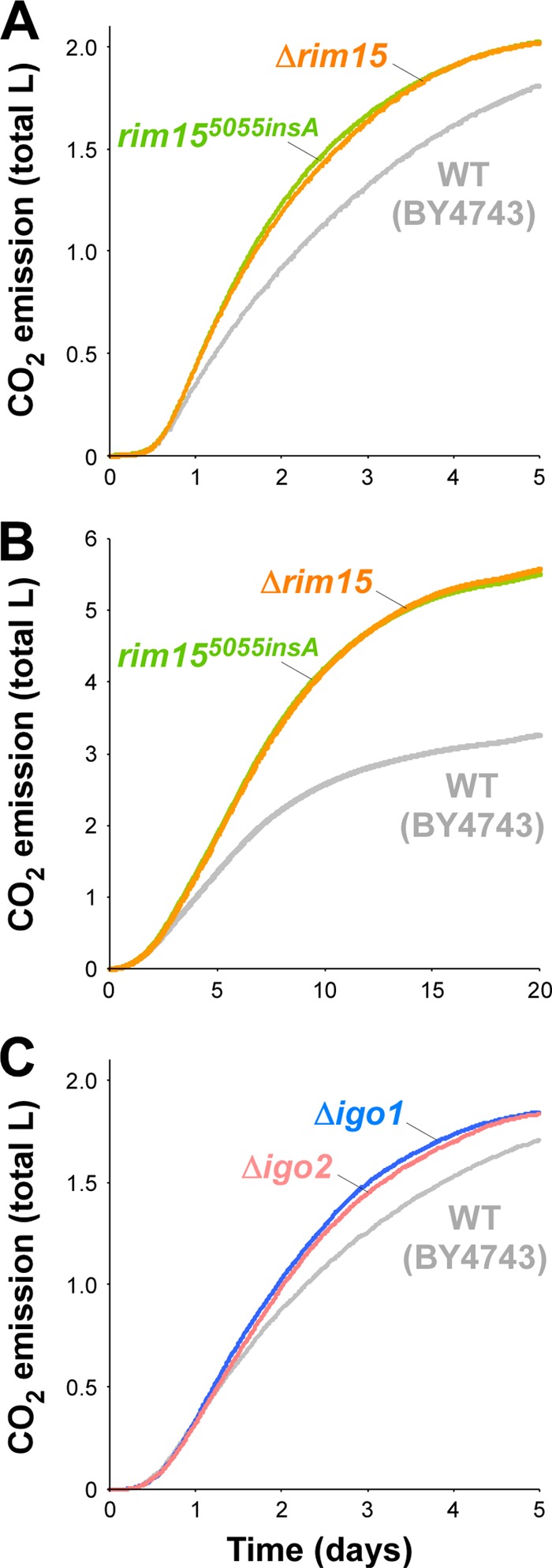 Fig 5