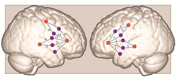 Fig. 1: