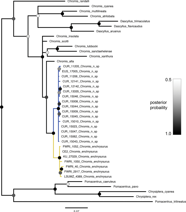 Figure 5.