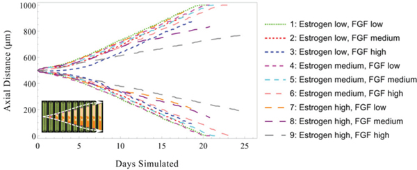 Fig. 7.