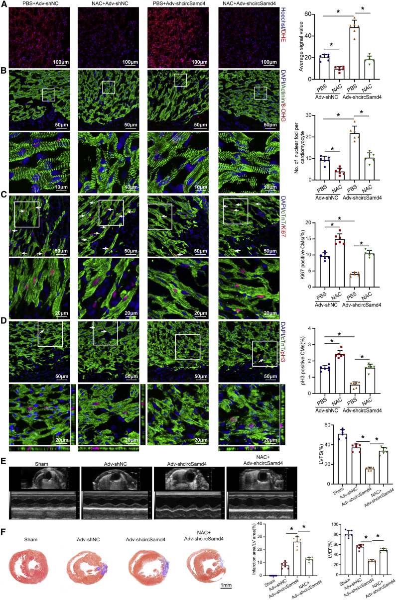 Figure 6