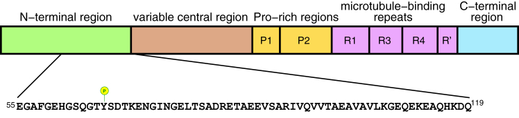 Figure 1