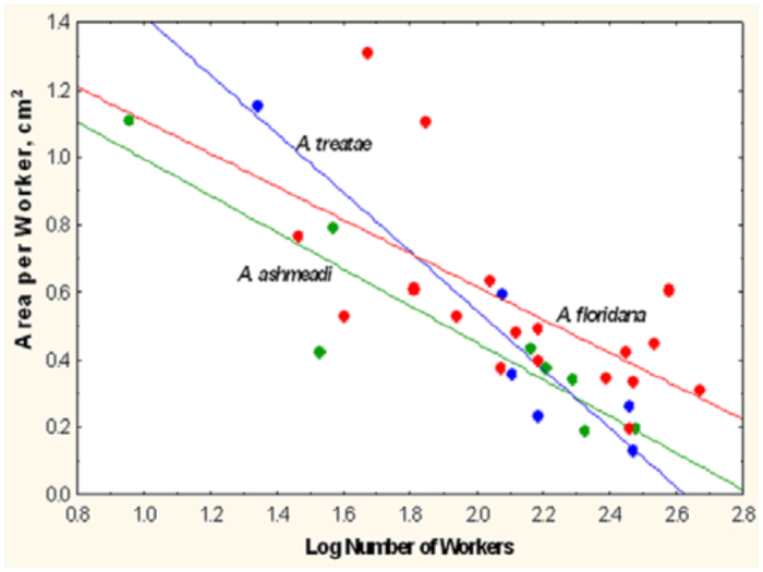 Figure 22. 