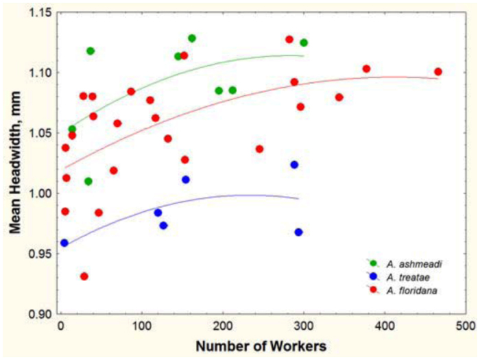 Figure 21. 