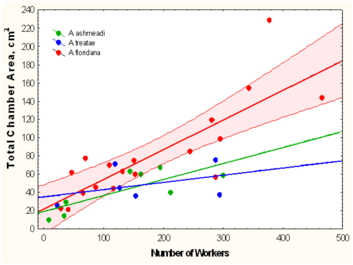 Figure 20. 