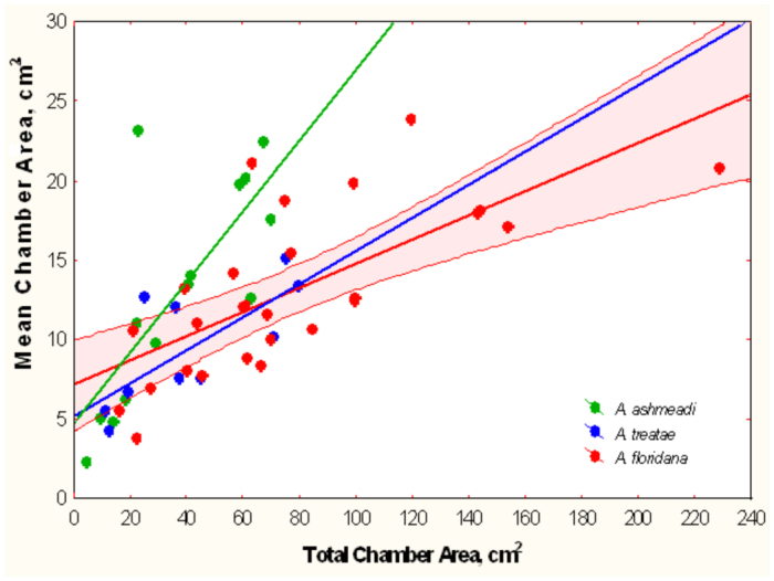 Figure 19. 