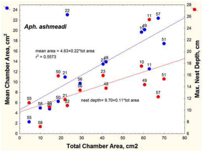 Figure 16. 