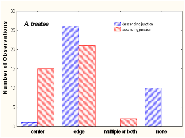 Figure 11. 