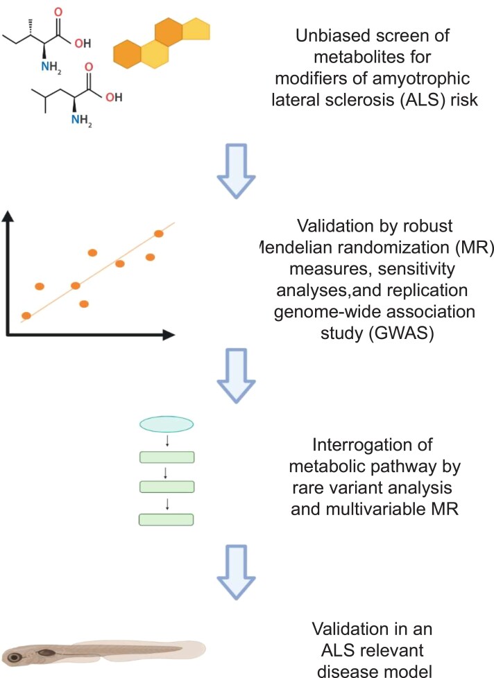 Graphical abstract