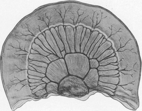 FIG. 8.