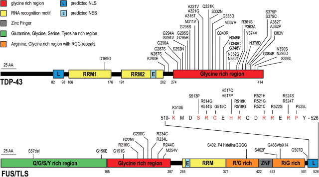 Figure 1.