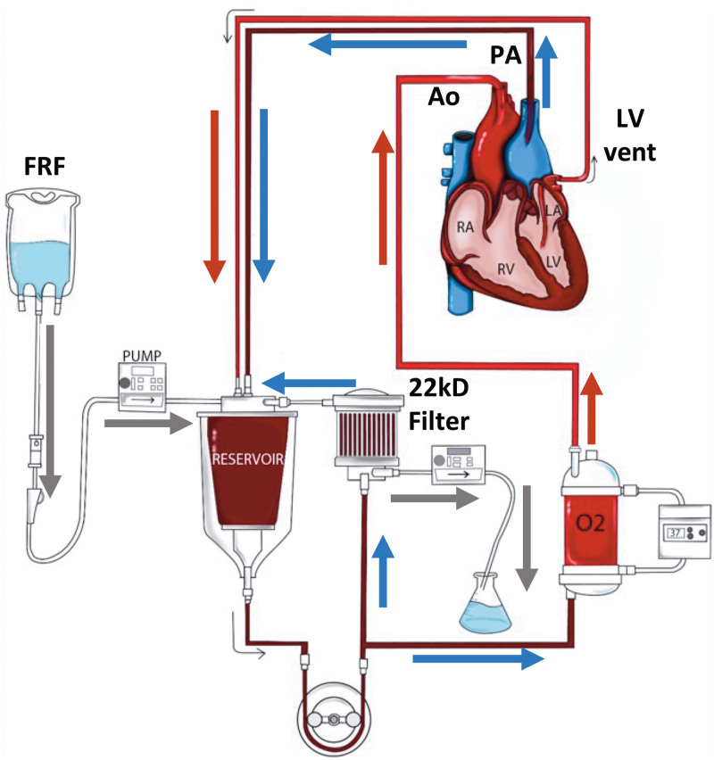 FIGURE 2.