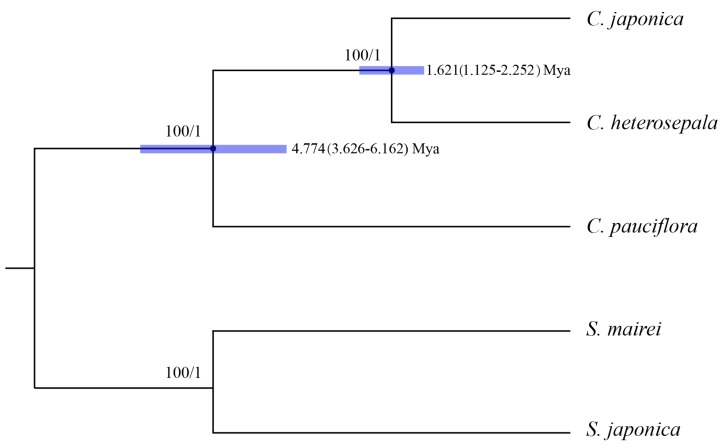 Figure 7